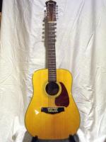 Ibanez 12 String Guitar